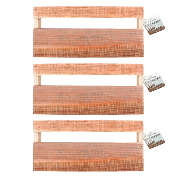 ArtSkills Set of Rectangular Rustic Wooden Plaques with Hooks for DIY Wall Dcor & Craft Projects, 3-Pack