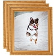 thumbnail image 1 of ArtToFrames 10" x 12" Bright Gold Picture Frame, 10x12 inch Gold Wood Poster Frame (WOM-4928), 3 Pack, 1 of 6