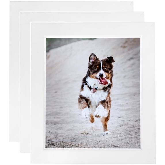 ArtToFrames 10" x 13" Contemporary White with Lip Picture Frame, 10x13 inch White Wood Poster Frame (WOM-2032), 3 Pack