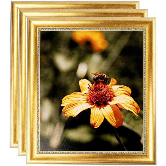 ArtToFrames 10" x 13" Regency Gold Picture Frame, 10x13 inch Multi Wood Poster Frame (WOM-5022), 3 Pack