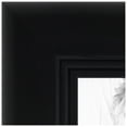 thumbnail image 1 of ArtToFrames 10" x 19" Satin Black Double Step Lip Picture Frame, 10x19 inch Black Wood Poster Frame (WOM-1418), 1 of 1