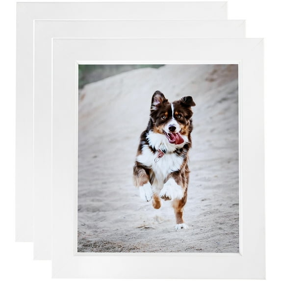 ArtToFrames 10" x 20" Contemporary White with Lip Picture Frame, 10x20 inch White Wood Poster Frame (WOM-2032), 3 Pack