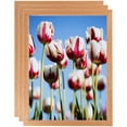 thumbnail image 1 of ArtToFrames 10" x 20" Red Oak Wood Picture Frame, 10x20 inch Brown Wood Poster Frame (WOM-4878), 3 Pack, 1 of 6