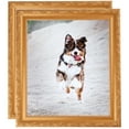 thumbnail image 1 of ArtToFrames 10" x 36" Bright Gold Picture Frame, 10x36 inch Gold Wood Poster Frame (WOM-4928), 2 Pack, 1 of 6