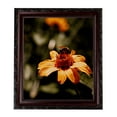 thumbnail image 1 of ArtToFrames 10x14" Classic Burgundy Picture Frame, Brown Wood Poster Frame, with Regular Glass and Foam Backing 3/16 inch (FBPL-4927), 1 of 7