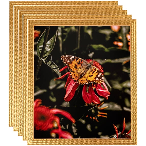 ArtToFrames 11" x 14" Bright Gold Picture Frame, 11x14 inch Gold Wood Poster Frame (WOM-4753), 5 Pack