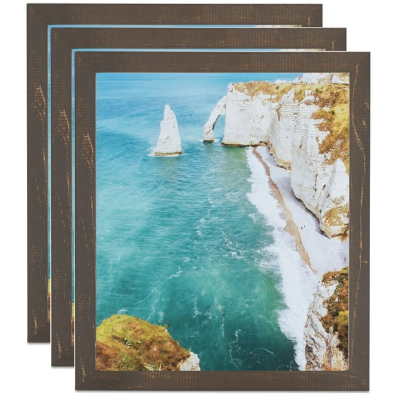 ArtToFrames 11" x 14" Oak Picture Frame, 11x14 inch Brown Wood Poster Frame (WOM-4742), 3 Pack