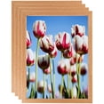 thumbnail image 1 of ArtToFrames 11" x 14" Red Oak Wood Picture Frame, 11x14 inch Brown Wood Poster Frame (WOM-4878), 4 Pack, 1 of 6