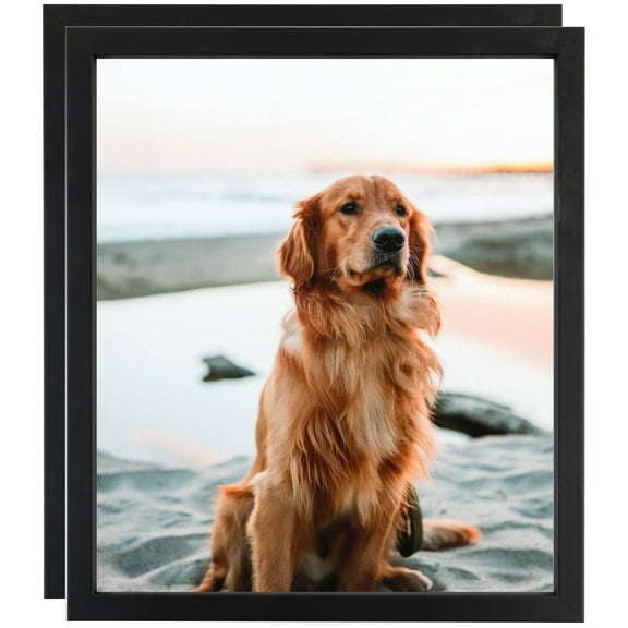 ArtToFrames 11" x 14" Satin Black Short Picture Frame, 11x14 inch Black Wood Poster Frame (WOM-1416), 2 Pack