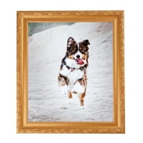 ArtToFrames 11" x 17" Bright Gold Picture Frame, 11x17 inch Gold Wood Poster Frame (WOM-4928), 1 Pack