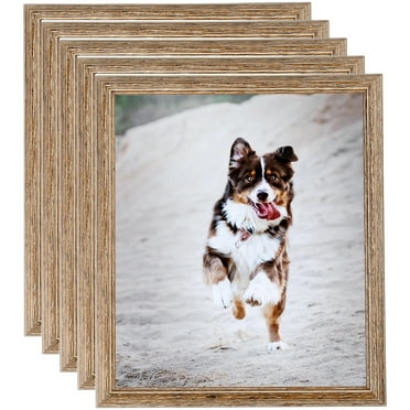 ArtToFrames 11" x 17" Brown Picture Frame, 11x17 inch Brown Wood Poster Frame (WOM-4717), 5 Pack