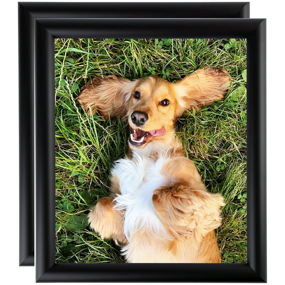 ArtToFrames 11" x 17" Satin Black Bull Nose Picture Frame, 11x17 inch Black Wood Poster Frame (WOM-1417), 2 Pack