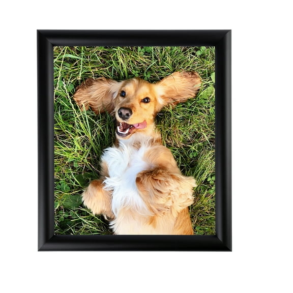 ArtToFrames 11" x 17" Satin Black Bull Nose Picture Frame, 11x17 inch Black Wood Poster Frame (WOM-1417), 1 Pack