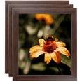 thumbnail image 1 of ArtToFrames 11" x 17" Wooden Finish Mahogany Picture Frame, 11x17 inch Brown Wood Poster Frame (WOM-4958), 3 Pack, 1 of 7