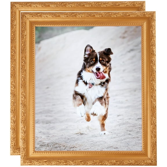 ArtToFrames 11" x 21" Bright Gold Picture Frame, 11x21 inch Gold Wood Poster Frame (WOM-4928), 2 Pack