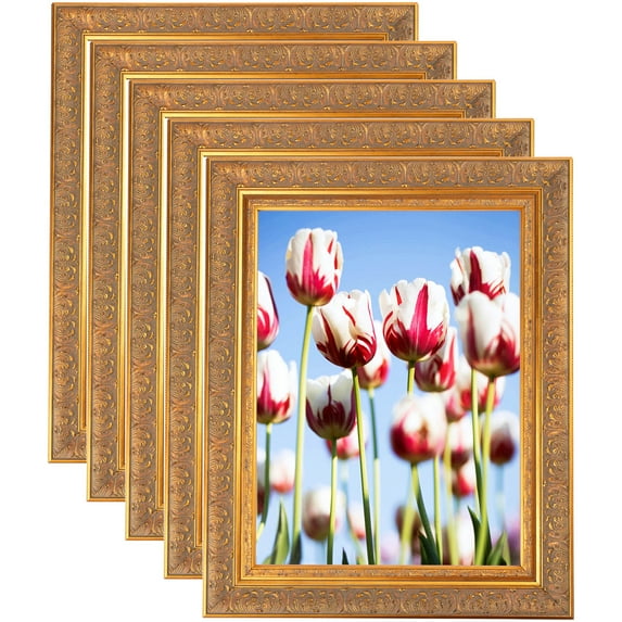 ArtToFrames 11" x 34" Wide Gold with Green Tones Picture Frame, 11x34 inch Gold Wood Poster Frame (WOM-5078), 5 Pack