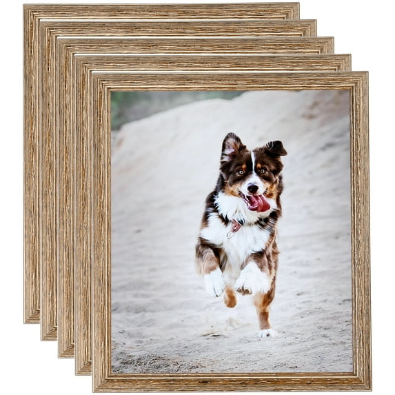ArtToFrames 12" x 12" Brown Picture Frame, 12x12 inch Brown Wood Poster Frame (WOM-4717), 5 Pack
