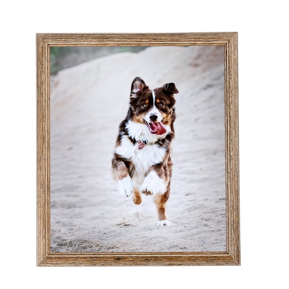 ArtToFrames 12" x 12" Brown Picture Frame, 12x12 inch Brown Wood Poster Frame (WOM-4717), 1 Pack