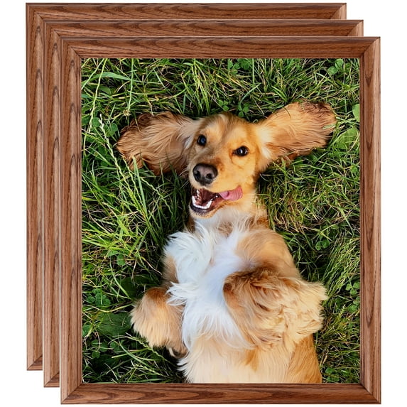 ArtToFrames 12" x 12" Honey Oak Picture Frame, 12x12 inch Brown Wood Poster Frame (WOM-4380), 3 Pack