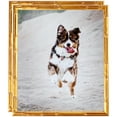 thumbnail image 1 of ArtToFrames 12" x 14" .75 Picture Frame, 12x14 inch Gold Wood Poster Frame (WOM-4875), 2 Pack, 1 of 7