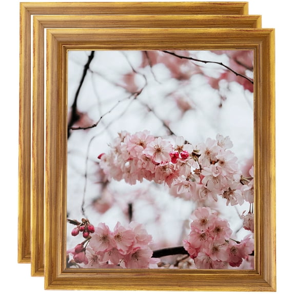 ArtToFrames 12" x 14" Antique Yellow Picture Frame, 12x14 inch Multi Wood Poster Frame (WOM-4948), 3 Pack