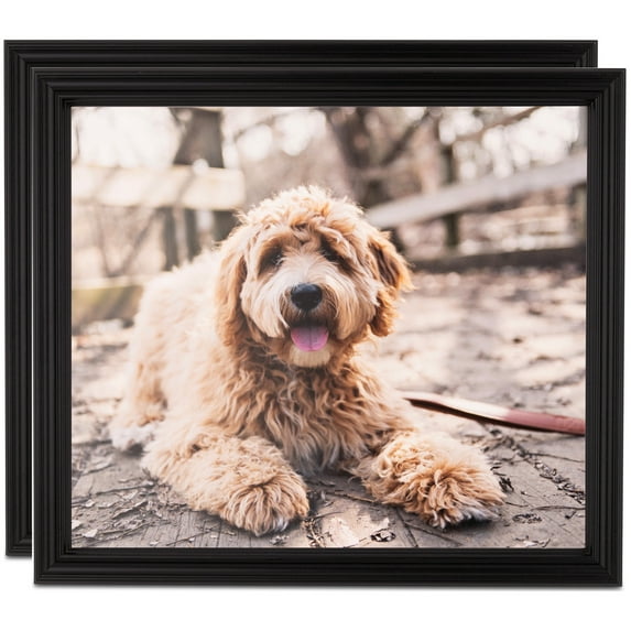 ArtToFrames 12" x 14" Black Picture Frame, 12x14 inch Black MDF Poster Frame (WOM-4102), 2 Pack