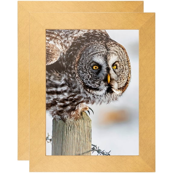 ArtToFrames 12" x 14" Metallic Gold Picture Frame, 12x14 inch Gold MDF Poster Frame (WOM-4500), 2 Pack