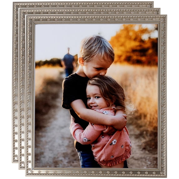 ArtToFrames 12" x 14" Silver Picture Frame, 12x14 inch Multi Wood Poster Frame (WOM-4756), 3 Pack