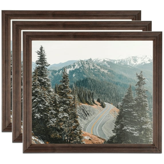ArtToFrames 12" x 14" Walnut Picture Frame, 12x14 inch Brown MDF Poster Frame (WOM-4094), 3 Pack