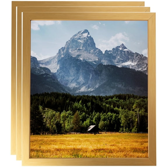 ArtToFrames 12" x 14" Warm Square Gold Picture Frame, 12x14 inch Multi Wood Poster Frame (WOM-5102), 3 Pack