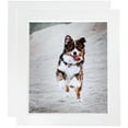 thumbnail image 1 of ArtToFrames 12" x 16" Contemporary White with Lip Picture Frame, 12x16 inch White Wood Poster Frame (WOM-2032), 2 Pack, 1 of 6