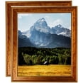 thumbnail image 1 of ArtToFrames 12" x 16" Gold Panel Picture Frame, 12x16 inch Multi Wood Poster Frame (WOM-5091), 2 Pack, 1 of 6