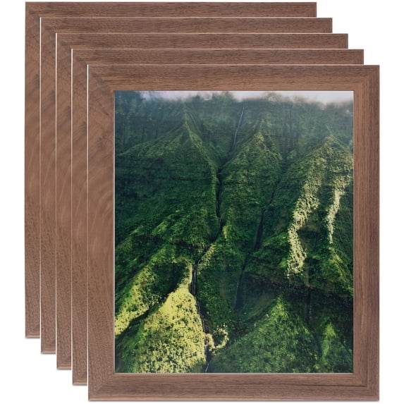 ArtToFrames 12" x 16" Light Walnut Picture Frame, 12x16 inch Brown Wood Poster Frame (WOM-4851), 5 Pack