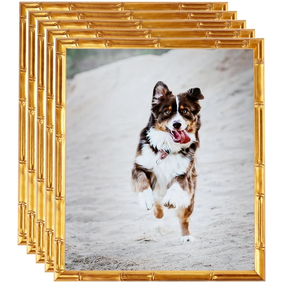ArtToFrames 12" x 18" .75 Picture Frame, 12x18 inch Gold Wood Poster Frame (WOM-4875), 5 Pack