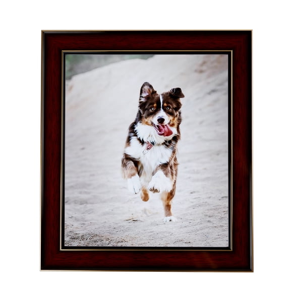 ArtToFrames 12" x 18" Honors Mahogany with Gold Picture Frame, 12x18 inch Brown Wood Poster Frame (WOM-5156), 1 Pack