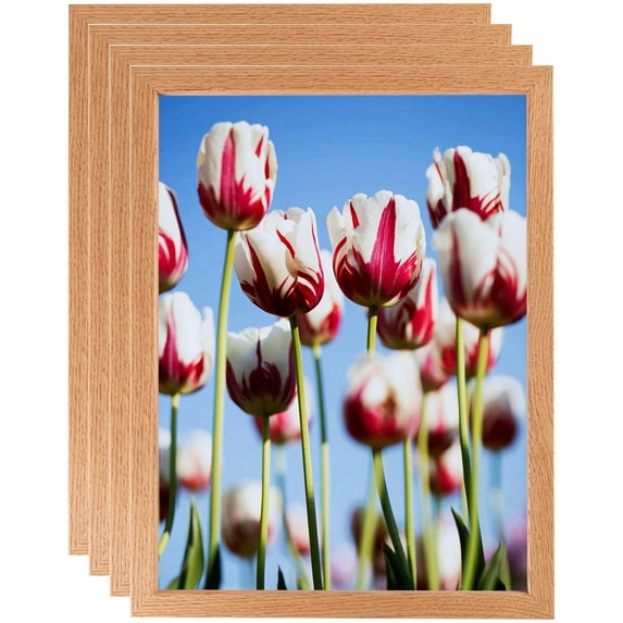 ArtToFrames 12" x 18" Red Oak Wood Picture Frame, 12x18 inch Brown Wood Poster Frame (WOM-4878), 4 Pack