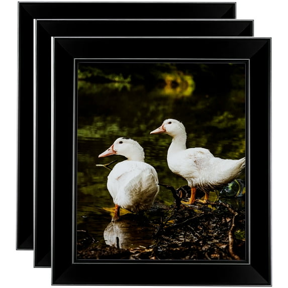 ArtToFrames 12" x 24" Honors Black with Silver Picture Frame, 12x24 inch Black Wood Poster Frame (WOM-5157), 3 Pack