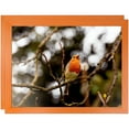 thumbnail image 1 of ArtToFrames 12" x 24" Orange Picture Frame, 12x24 inch Red Wood Poster Frame (WOM-4750), 2 Pack, 1 of 6