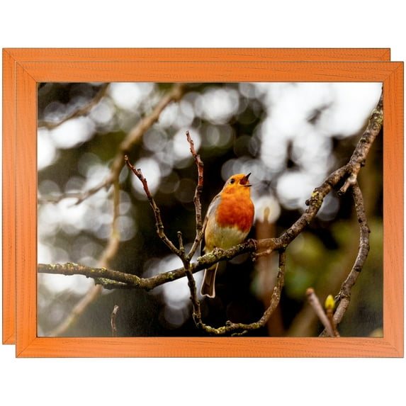 ArtToFrames 12" x 24" Orange Picture Frame, 12x24 inch Red Wood Poster Frame (WOM-4750), 2 Pack