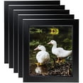 thumbnail image 1 of ArtToFrames 12" x 24" Satin Black Step Lip Picture Frame, 12x24 inch Black Wood Poster Frame (WOM-1452), 5 Pack, 1 of 6
