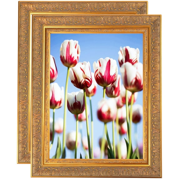 ArtToFrames 12" x 33" Wide Gold with Green Tones Picture Frame, 12x33 inch Gold Wood Poster Frame (WOM-5078), 2 Pack