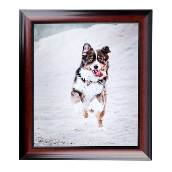 ArtToFrames 12x19" Matte mahogany Diploma Picture Frame, Brown Wood Poster Frame, with Regular Glass and Foam Backing 3/16 inch (FBPL-5108)