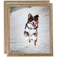 thumbnail image 1 of ArtToFrames 13" x 19" Brown Picture Frame, 13x19 inch Brown Wood Poster Frame (WOM-4717), 2 Pack, 1 of 7