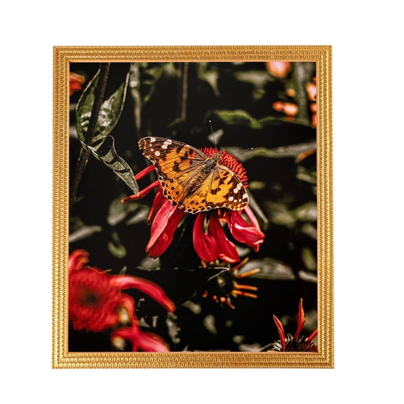 ArtToFrames 13x16" Bright Gold Picture Frame, Gold Wood Poster Frame, with Regular Glass and 2 (FBPL-4753)