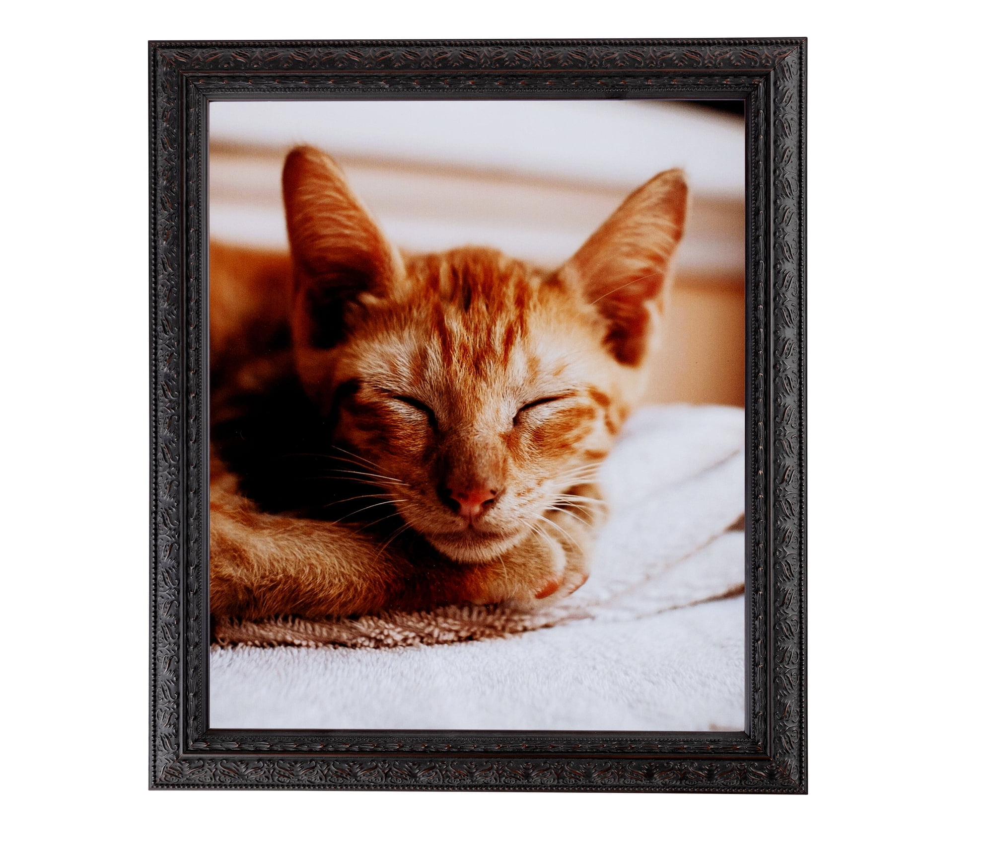 ArtToFrames 13x25