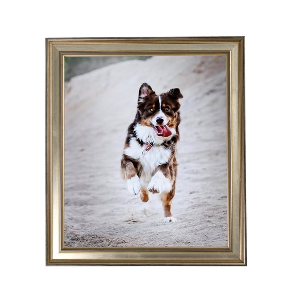 ArtToFrames 13x29" Antique Silver Panel Picture Frame, Silver Wood Poster Frame, with Regular Acrylic and 2 (FBPL-4760)
