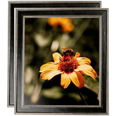 ArtToFrames 14" x 14" Black Panel With Silver Lip Picture Frame, 14x14 inch Multi Wood Poster Frame (WOM-5093), 2 Pack