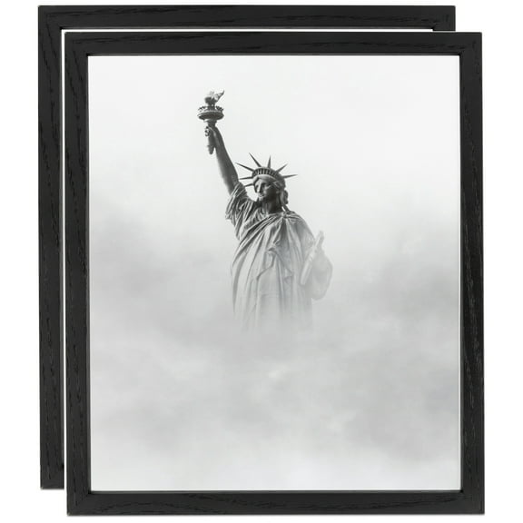 ArtToFrames 14" x 14" Black Picture Frame, 14x14 inch Black Wood Poster Frame (WOM-4308), 2 Pack