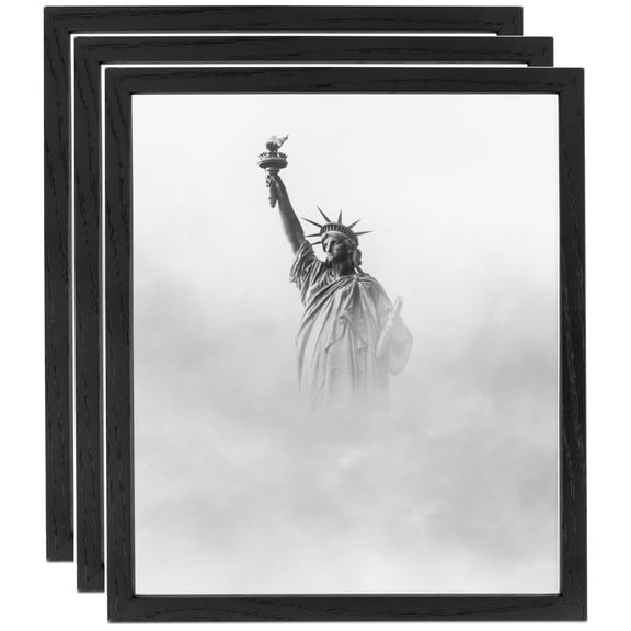 ArtToFrames 14" x 14" Black Picture Frame, 14x14 inch Black Wood Poster Frame (WOM-4308), 3 Pack