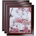 thumbnail image 1 of ArtToFrames 14" x 14" Matte Mahogany with Gold Accent Diploma Picture Frame, 14x14 inch Brown Wood Poster Frame (WOM-5109), 3 Pack, 1 of 6